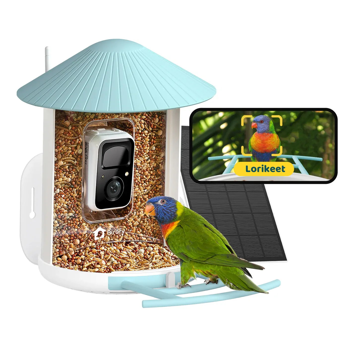 Birdfy AI Smart Bird Feeder with HD Camera  Live Bird Watching