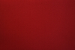 Cardboard and Accessories