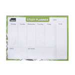 SASCO   ECO STUDY PLANNER 210 X 150MM