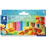 OIL PASTELS NORIS CLUB ASST BX16