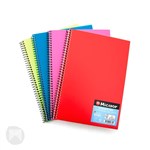 Micador A4 Visual Art Diary  Assorted Colours