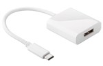 Astrotek 4K USBC to DisplayPort Adapter Cable
