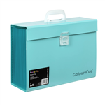 COLOURHIDE   EXPANDING FILE PP CARRY FILE