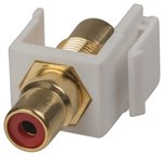 SKT RCARCA RED KEYSTONE INSERT GLD