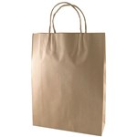 CAPRI KRAFT PAPER CARRY BAG BM TWIST HANDLE MEDIUM BROWN EACH