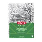DERWENT   ACY VISUAL ART DIARY A4 PORTRAIT 80 PAGE